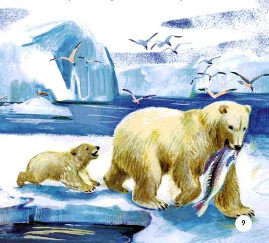 Белый медведь тащит рыбу и медвежонок