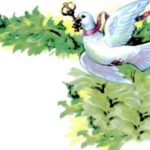 Белый голубок - Немецкая сказка