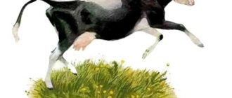 Бодливая корова - Константин Ушинский