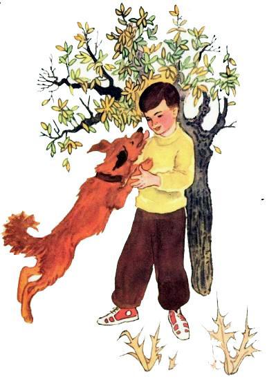 мальчик и собака