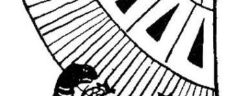 Черепаха и плод - Бразильская сказка