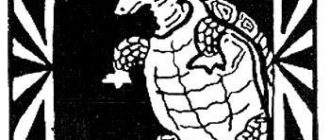 Черепаха и родник - Бразильская сказка