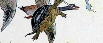 Черепаха и утки - Эзоп