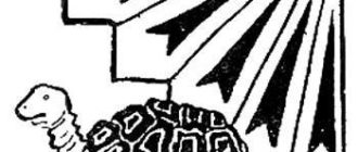 Черепаха и ястреб - Бразильская сказка