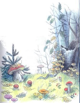 грибы в лесу на пне