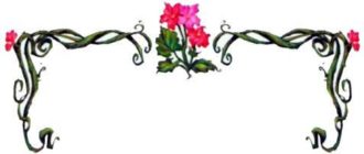 Динь-Динь и полоса невезения - Кики Торп - Дисней