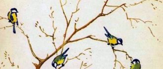 Домик на берёзе - Георгий Скребицкий