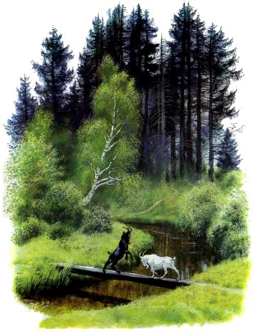 Два козлика черный и белый встретились на мостике у леса