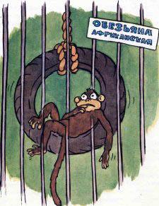 обезьяна в клетке