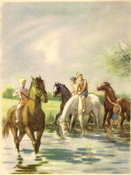 купание лошадей