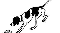 Ежовые рукавицы - Михаил Пришвин