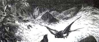 Филомела и Прокна - Жан де Лафонтен