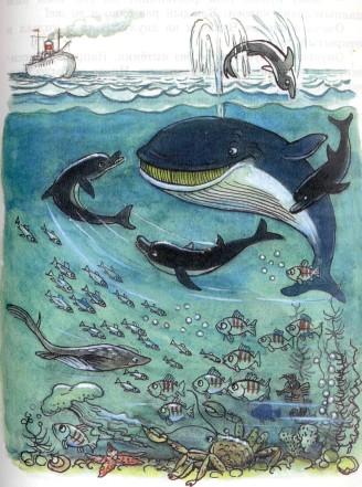под водой дельфины и кит рыбы крабы на морском дне