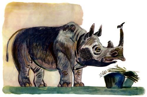 воробей и носорог