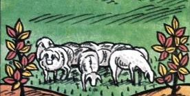 Глупая жена - Албанская сказка