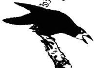 Говорящий грач - Михаил Пришвин