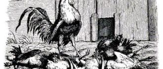 Истинная правда - Ганс Христиан Андерсен