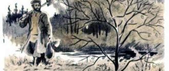 История одной яблоньки - Константин Ушинский