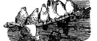 Как старуха нашла лапоть - Русская сказка