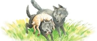 Как волки учат своих детей - Лев Толстой