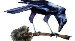 Как ворон землю мерил (Мансийская) - Сказка народов России