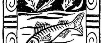 Как женщины ловили рыбу - Бразильская сказка