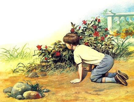 мальчик у цветочного куста