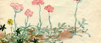 Кошачьи лапки - Екатерина Серова