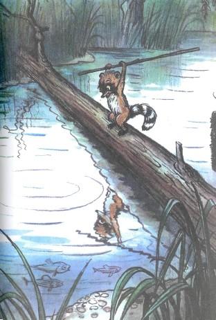 енот с палкой на пруду замахивается на отражение в пруду