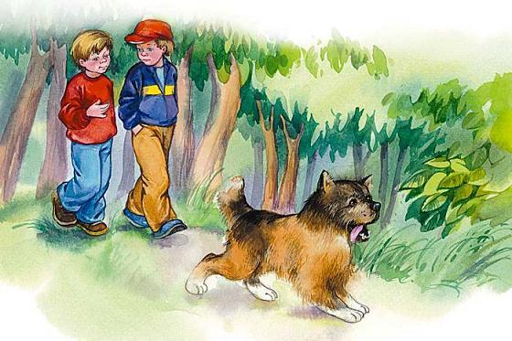 мальчики идут через лес парк с собакой