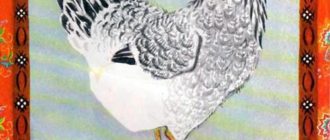 Курочка ряба - Русская сказка