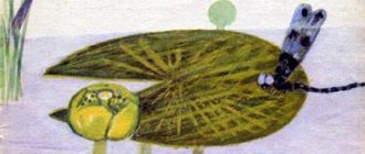 Кувшинка - Екатерина Серова