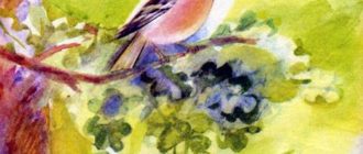 Ландыш - Екатерина Серова