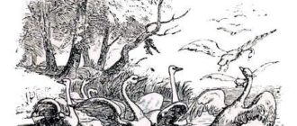 Лебединое гнездо - Ганс Христиан Андерсен