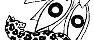 Легенда о братьях Итуборе и Бакороро