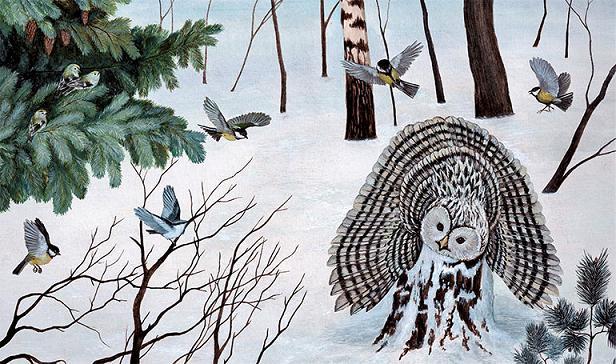 сова на охоте в зимнем лесу