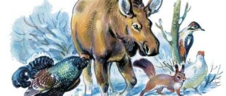 Лесные сказки - Сладков Н. - Отечественные писатели