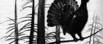 Лесник Булыга - Юрий Коваль