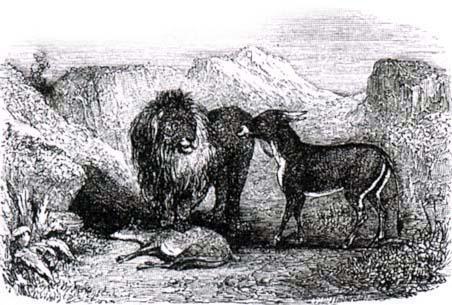 Лев и осел на охоте