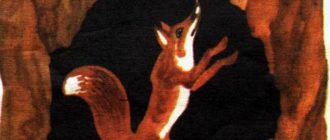 Лиса и дрозд - Капица О. - Отечественные писатели