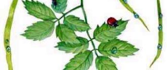 Лиса и козел - Константин Ушинский