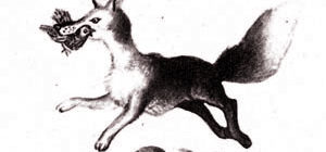 Лиса и перепёлка (аварская) - Сказка народов России