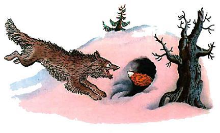 волк преследует Лису лапотницу