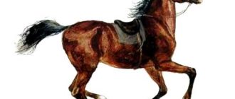 Лошадка - Константин Ушинский