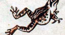 Лягушка и лев - Лев Толстой