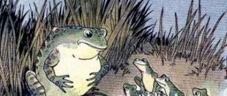 Лягушки