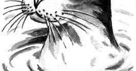 Любитель песни - Георгий Скребицкий