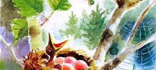 Маленькие рассказы: Подкидыш - Виталий Бианки