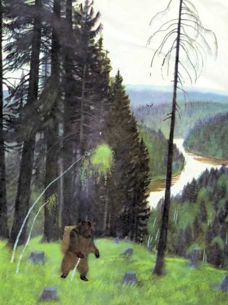 медведь идет по лесу