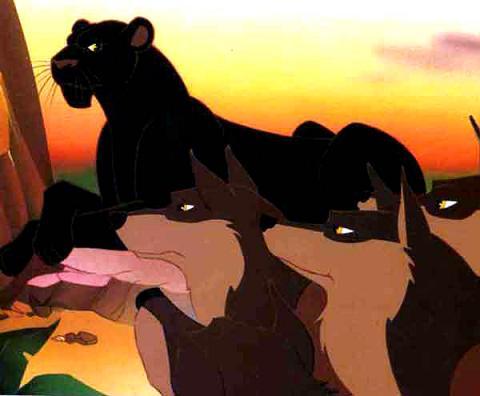 пантера Багира и волки